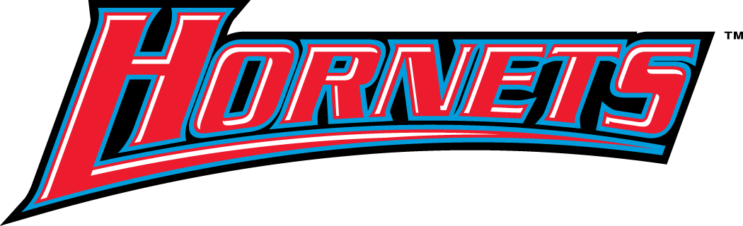 Delaware State Hornets 2004-Pres Wordmark Logo v3 diy fabric transfer